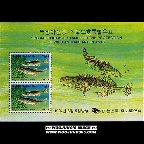 1997/ Ư�� �߻���.�Ĺ���ȣ ��4�� 2�� S/S