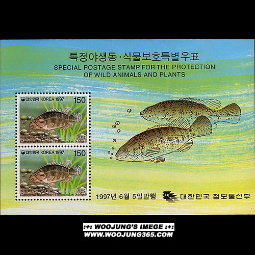 1997/ Ư�� �߻���.�Ĺ���ȣ ��4�� 2�� S/S