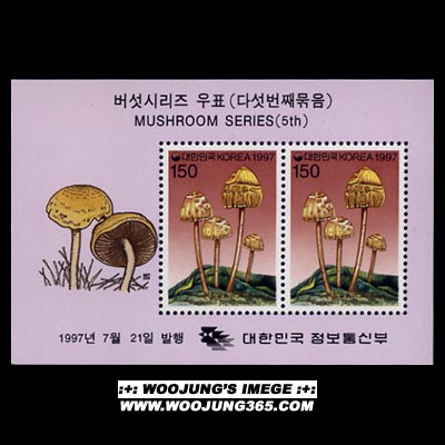 1997/ �����ø��� ��5�� 4�� S/S