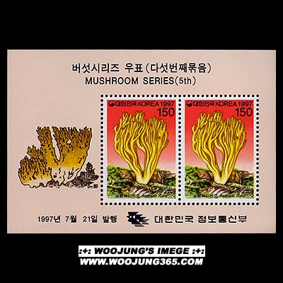 1997/ �����ø��� ��5�� 4�� S/S