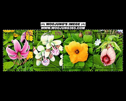 2000/ �������� �� ��ȣ �߻����Ĺ� Ư�� 4������