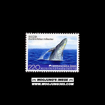 2005/�� 57�� ������������ȸ ���ȸ��