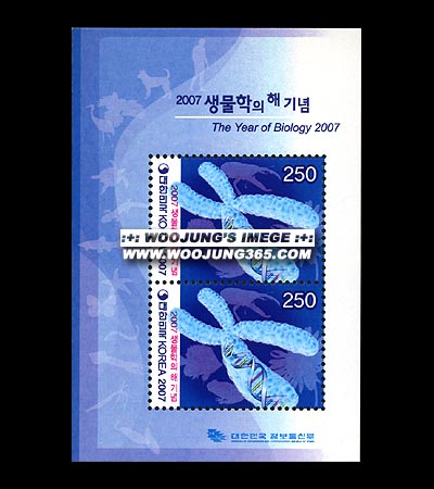 2007/ 2007 �������� �� S/S