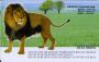 735-MO0511066-����(lion)